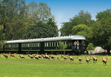 Pride of Africa, Rovos Rail Pride of Africa, Rovos Rail