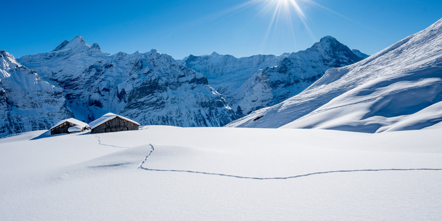 Embrace the festive spirit in Grindelwald