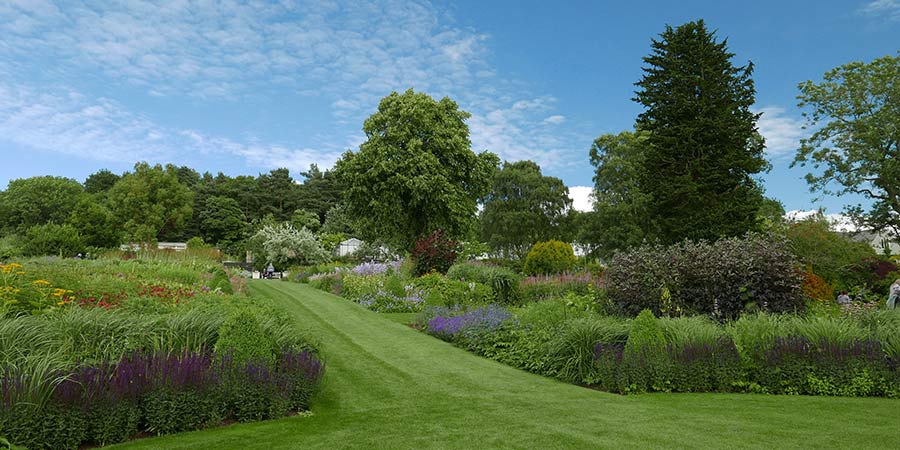 View of green well-maintained gardens with a lawn leading down to a bench, between two patches of tall bushes and flowers. Larger trees in the background.